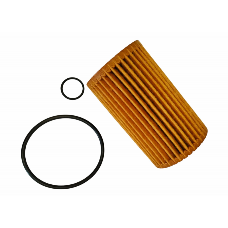 Filtro óleo Clio Kangoo Twingo 1.0 1.2 97 A 2016 Mann Hu611x